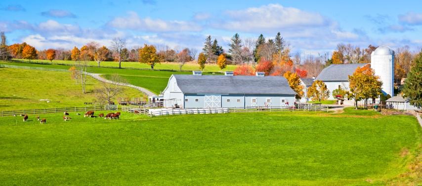 Expertises domaine agricole près de Nantes