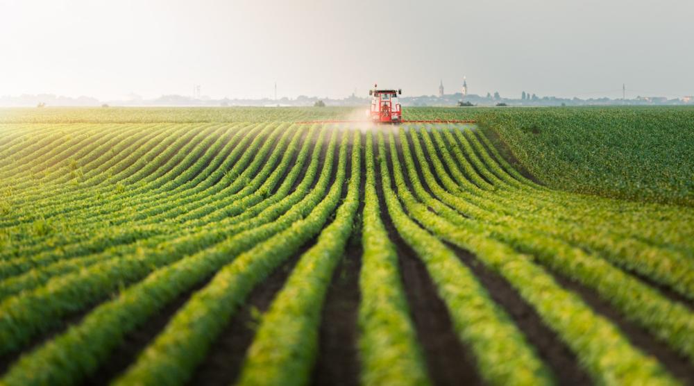 Experts fonciers agricoles près de Nantes